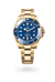 icon_variation